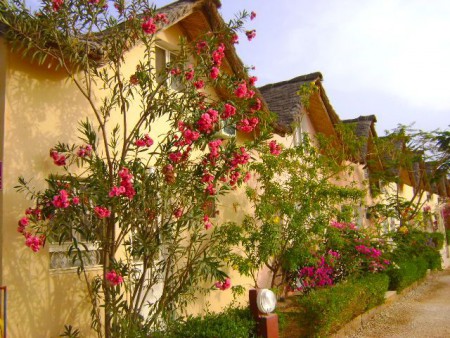 ah! si ces facades pouvaient conter....